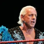 Ric Flair Net Worth