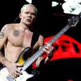 Flea