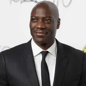 Adewale Akinnuoye-Agbaje Net Worth