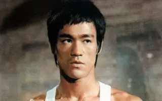 Bruce Lee Net Worth