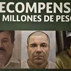 A Tale Of Two Drug Kingpins: El Patron Vs. El Chapo