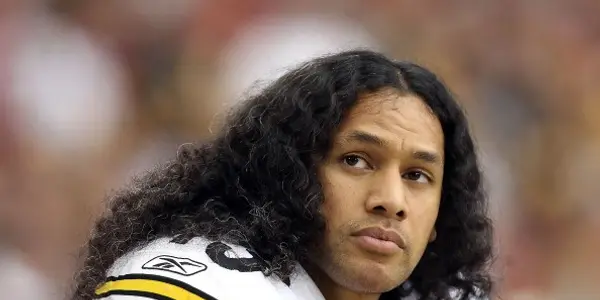 Troy Polamalu