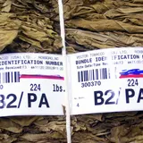 He Skipped High School, Enrolled In College At 14, Dropped Out And Became A Billionaire