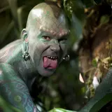 The Lizardman Net Worth