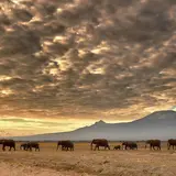 Jackson Kibor Is The Most Eccentric Character In The World