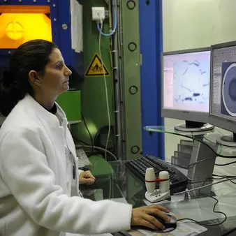 Ten College Majors That Are A Good Investment