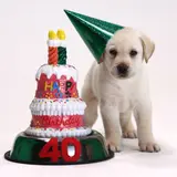 How "Happy Birthday" Became The Largest Royalty Producing Song Of All Time