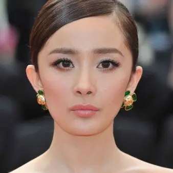 Yang Mi Net Worth