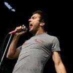 Max Bemis Net Worth