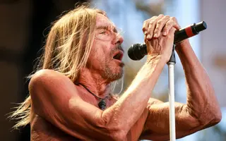 Iggy Pop Net Worth