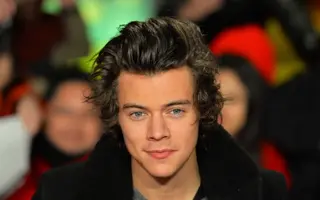 Harry Styles Net Worth