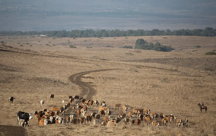 The 20 Largest Landowners in the United States