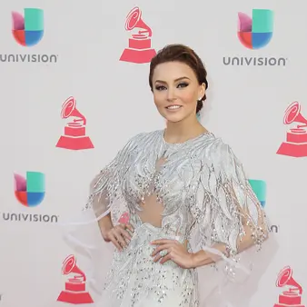 Angelique Boyer Net Worth