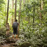 While Most Millionaire CEOs Smoke Cigars From Gas Guzzling Yachts, Johan Eliasch Might Single-Handedly Save The Rainforest.