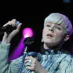 Robyn Net Worth