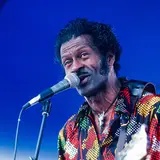 Chuck Berry Net Worth