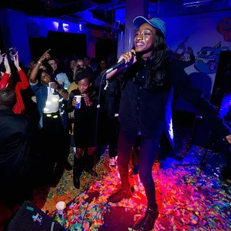 Little Simz Net Worth