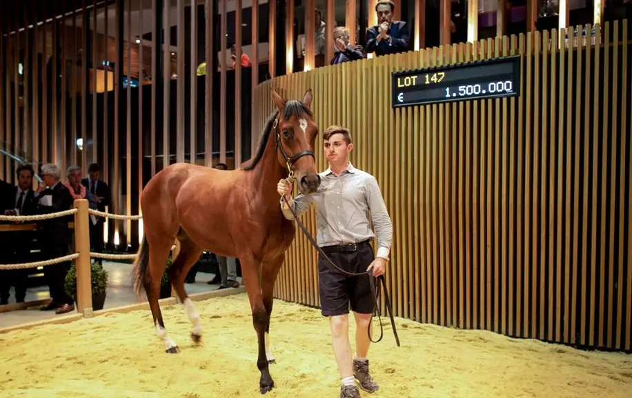 Gettin' Paid For Gettin' Laid: The Highest Earning Stud Fee Stallions In History