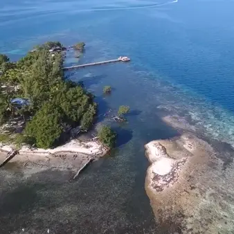 "Broke" Francis Ford Coppola Sells One Of His Belize Island Retreats to Stem $100+ Million "Megalopolis" Loss