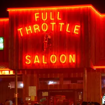 Angie Carlson Net Worth