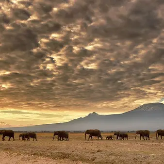 Jackson Kibor Is The Most Eccentric Character In The World