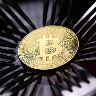 The Harrowing Story Of A Guy Who Threw Away More Than $123 Million In Bitcoin