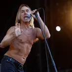 Iggy Pop Net Worth