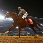 California Chrome Races Into The Record Books With A Big Win In Dubai