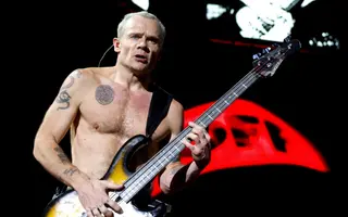 Flea Net Worth