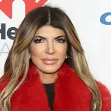Teresa Giudice Net Worth