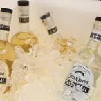 The Tequila Fortune And How The Cuervo Family Plans To Turn Tequila, Jalisco Into The Napa Valley of Mexico