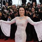 Gong Li Net Worth