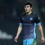 Fernando Forestieri Net Worth