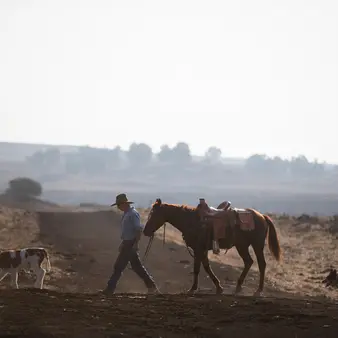 For $725 Million, You Could Own A Texas Ranch Bigger Than New York And LA – COMBINED