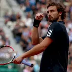 Ernests Gulbis Net Worth