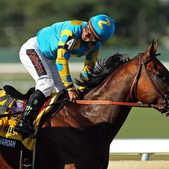 American Pharoah's Owners Are Making A Very Risky Multi-Million Dollar Gamble With Their Golden Goose