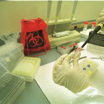 Looking To Earn Some Extra Money? Sell Your Poop For Cash!