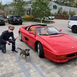 Man Embezzles Over $4 Million From Financial Management Company to Purchase Fleet Of Expensive Cars And Motorcycles