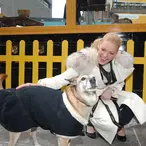 While Every Other Celebrity Tries To Get Rich With A Tequila Brand, Katherine Heigl Is Quietly Already A Dog Food Super Mogul