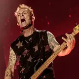 Mike Dirnt Net Worth