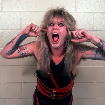 Chris Holmes Net Worth