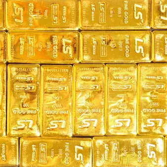 Chinese Police Just Found A Lot Of Stolen Gold And Cash Inside The Home Of A Communist Official