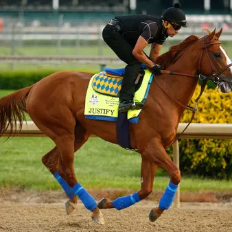 Kentucky Derby Winner Justify Is Self-Made Billionaire's Horse