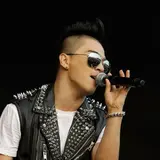 Taeyang Net Worth