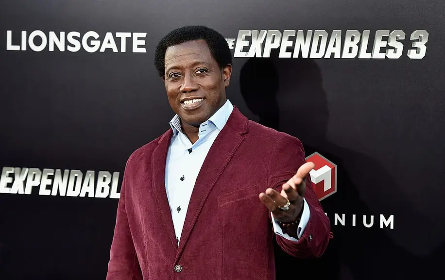 Wesley Snipes Played Chicken With The IRS… And Lost. Badly. Really Badly. He Literally Went From Passenger 57, To Prisoner #43355-018