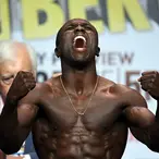 Andre Berto Net Worth