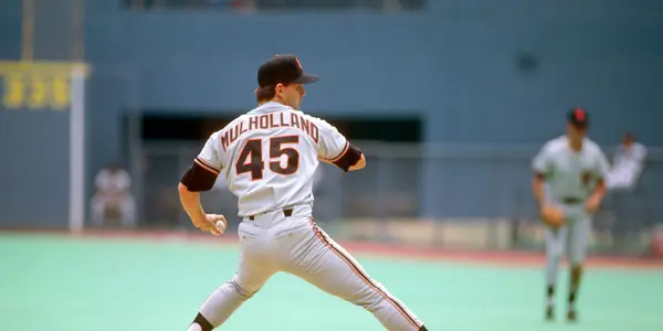 Terry Mulholland