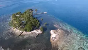 "Broke" Francis Ford Coppola Sells One Of His Belize Island Retreats to Stem $100+ Million "Megalopolis" Loss