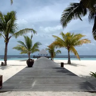 What Would You Do If Money Was No Object?