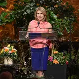 Nicolle Wallace Net Worth